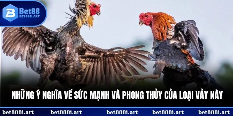 Những ý nghĩa về sức mạnh và phong thủy của loại vảy này