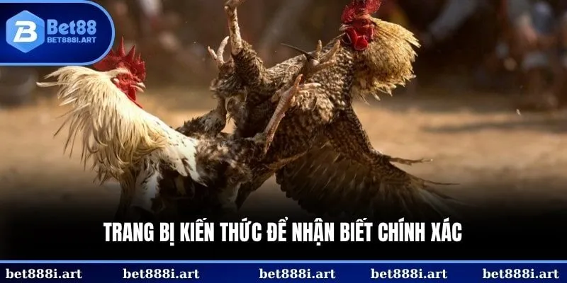 Nắm được các loại vảy gà phủ địa giúp bạn có thể đánh giá và chọn lựa 